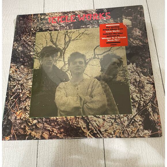 Icicle Works Self Titled Vinyl Record - Picture 9 of 10